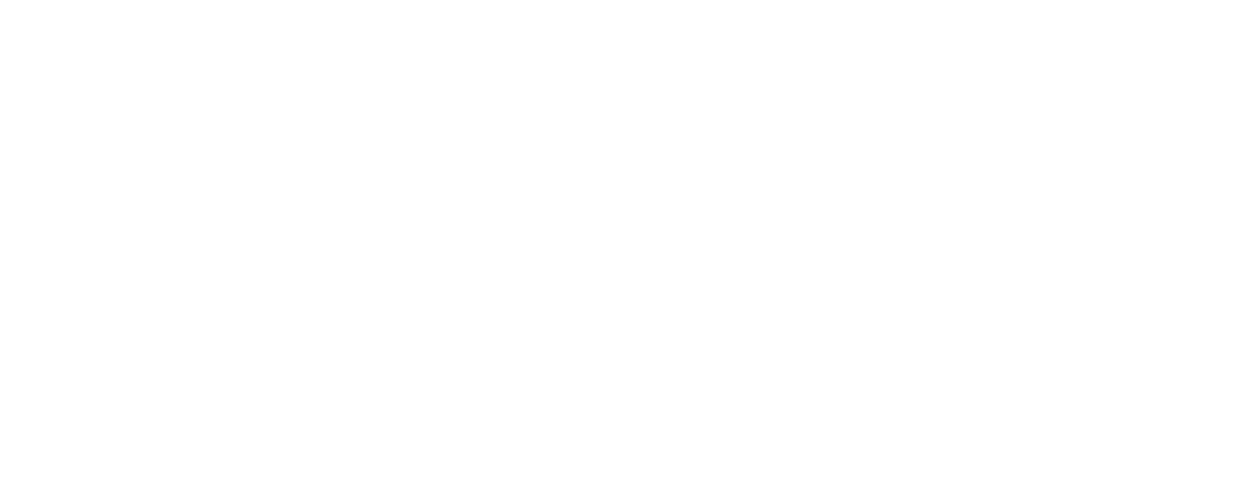 CAMARA DE COMERCIO LOGO
